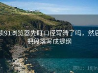 读91浏览器先盯口径写清了吗，然后把段落写成提纲